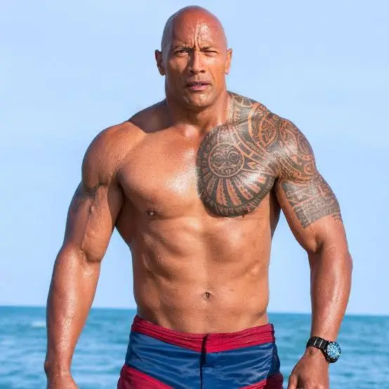the rock